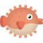 Raw Pufferfish