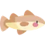 Raw Cod