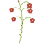 Cursed Flax