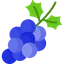 Grapes