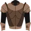 Bronze Platebody