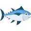 Raw Tuna