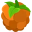 Sunfire Berry